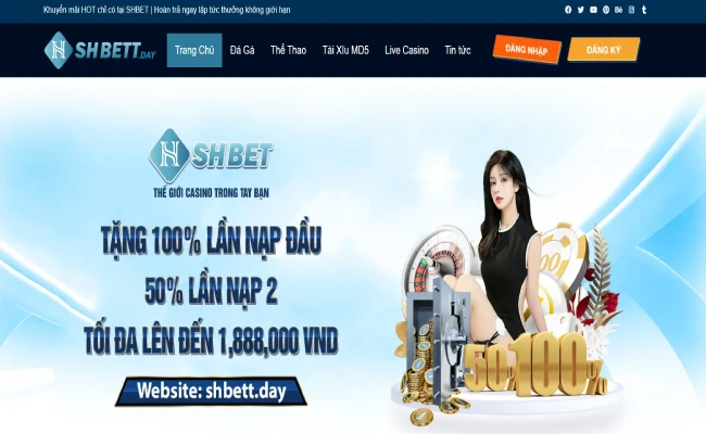 Vì sao nên soi đề 3 càng trong ngày hôm nay tại Shbet?